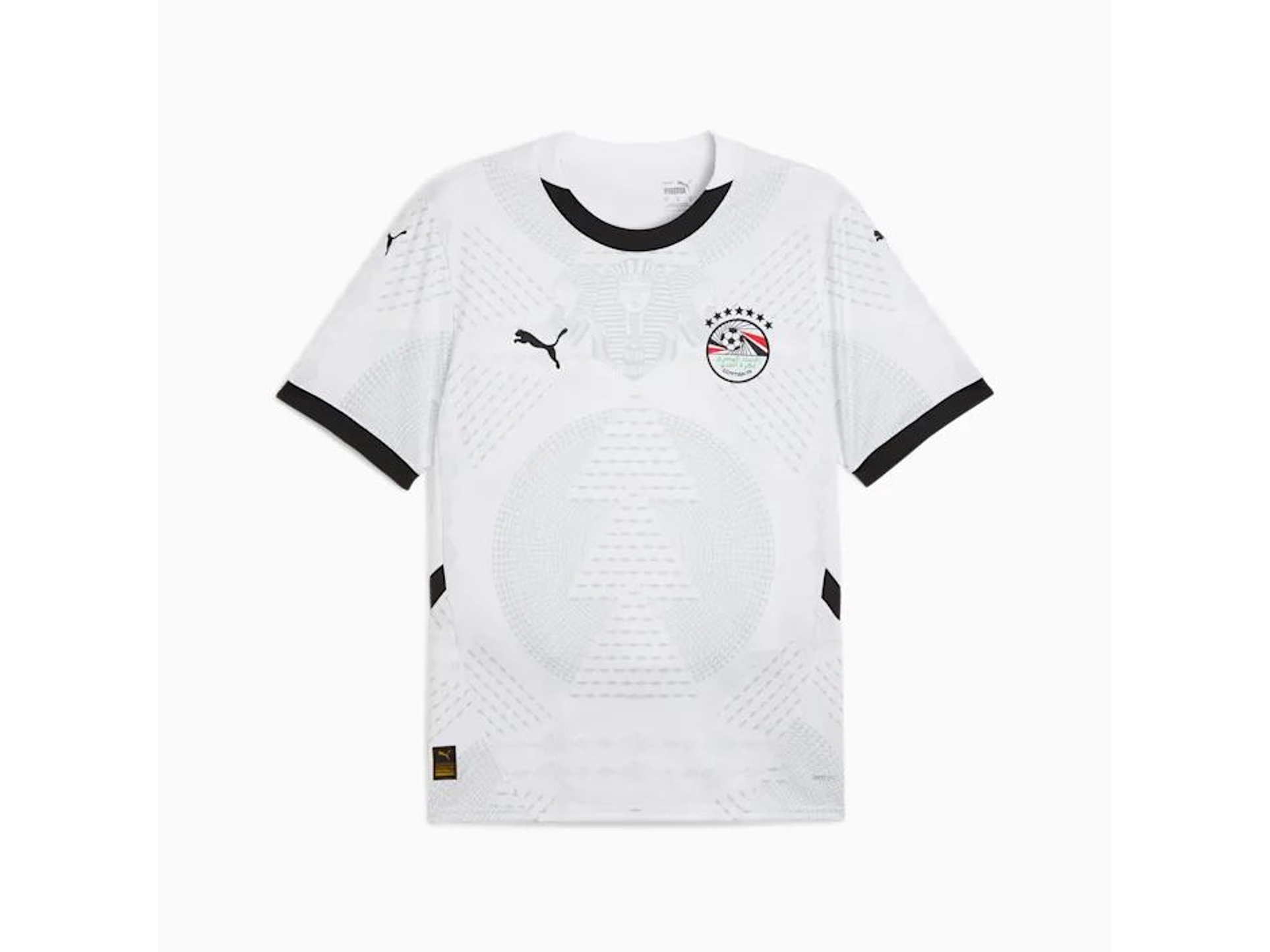 Egypt alternative 2026 1