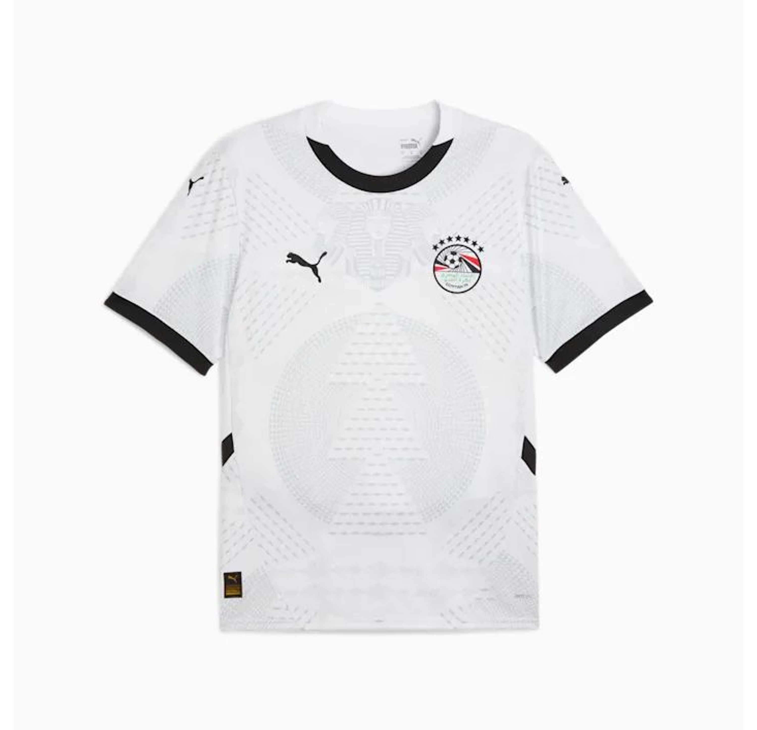 Egypt alternative 2026 1