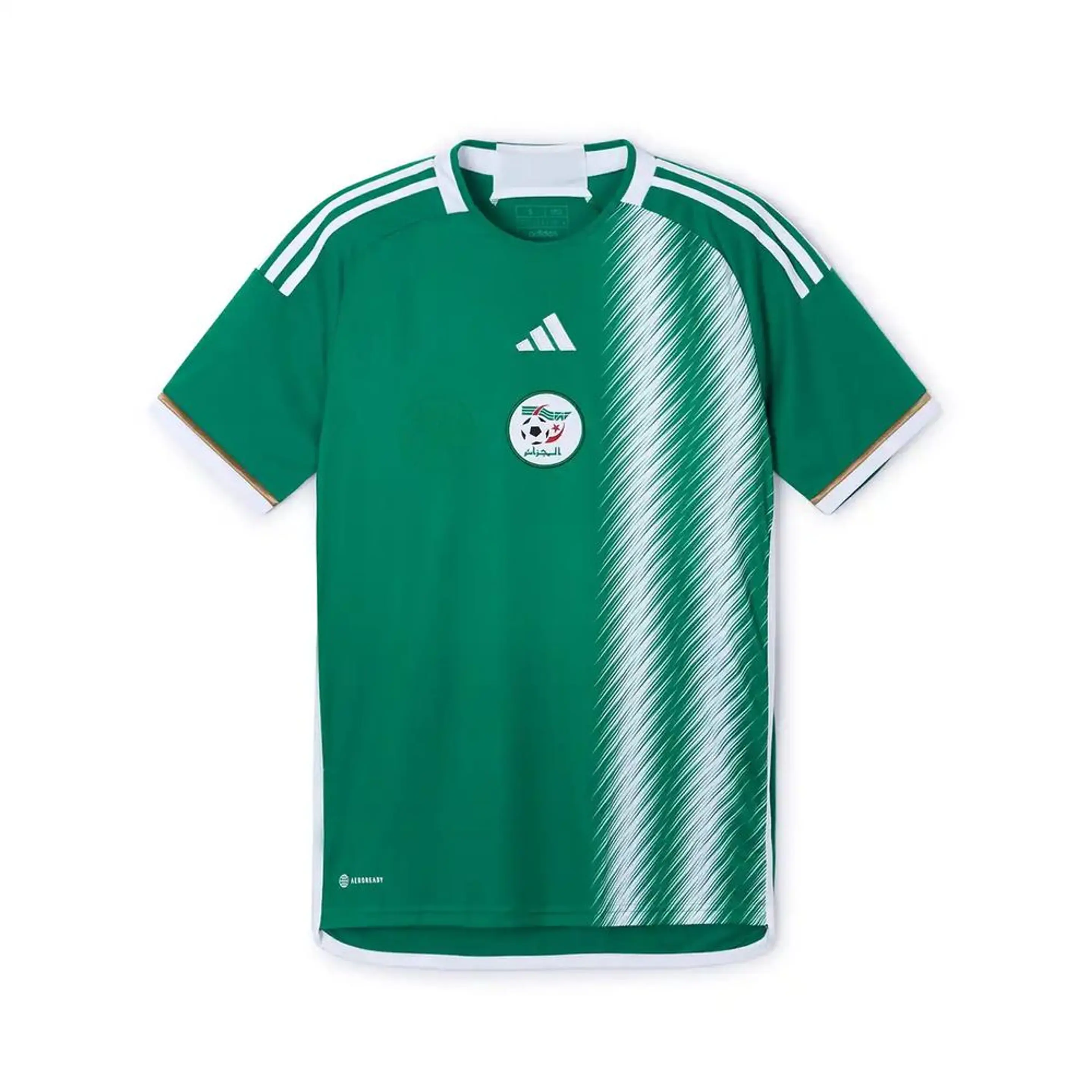 Algeria alternativa 2026 1