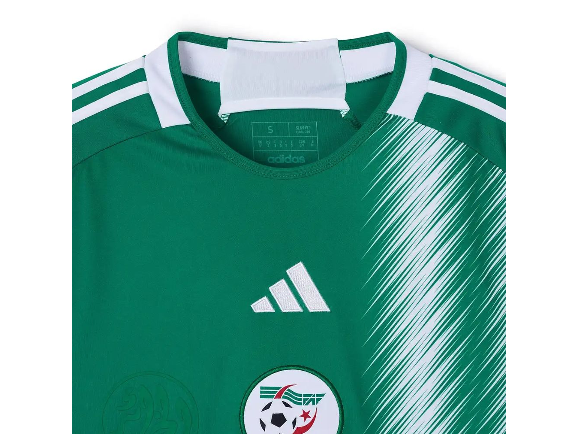 Alternative Algeria 2026 3