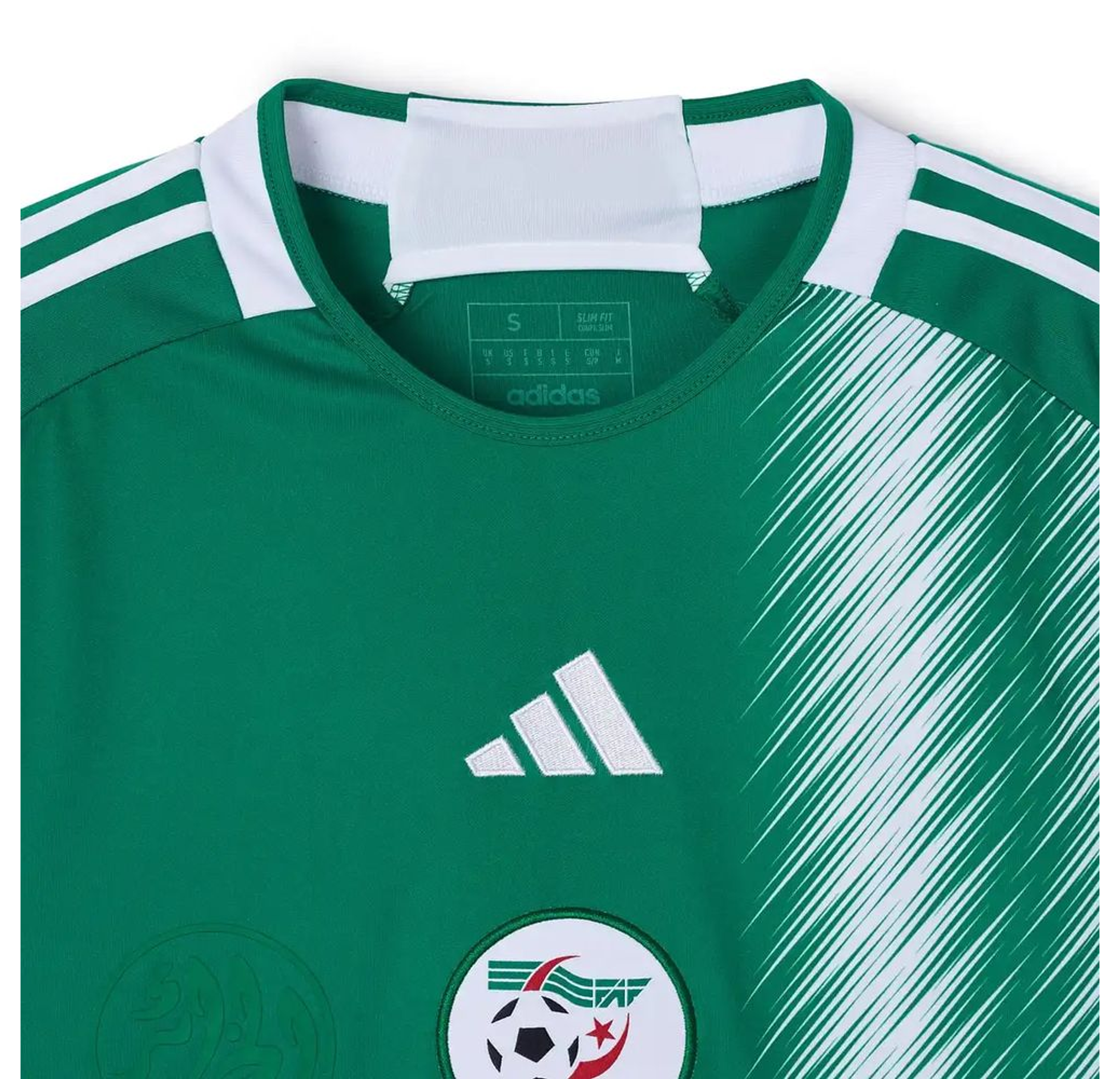 Alternative Algeria 2026 3