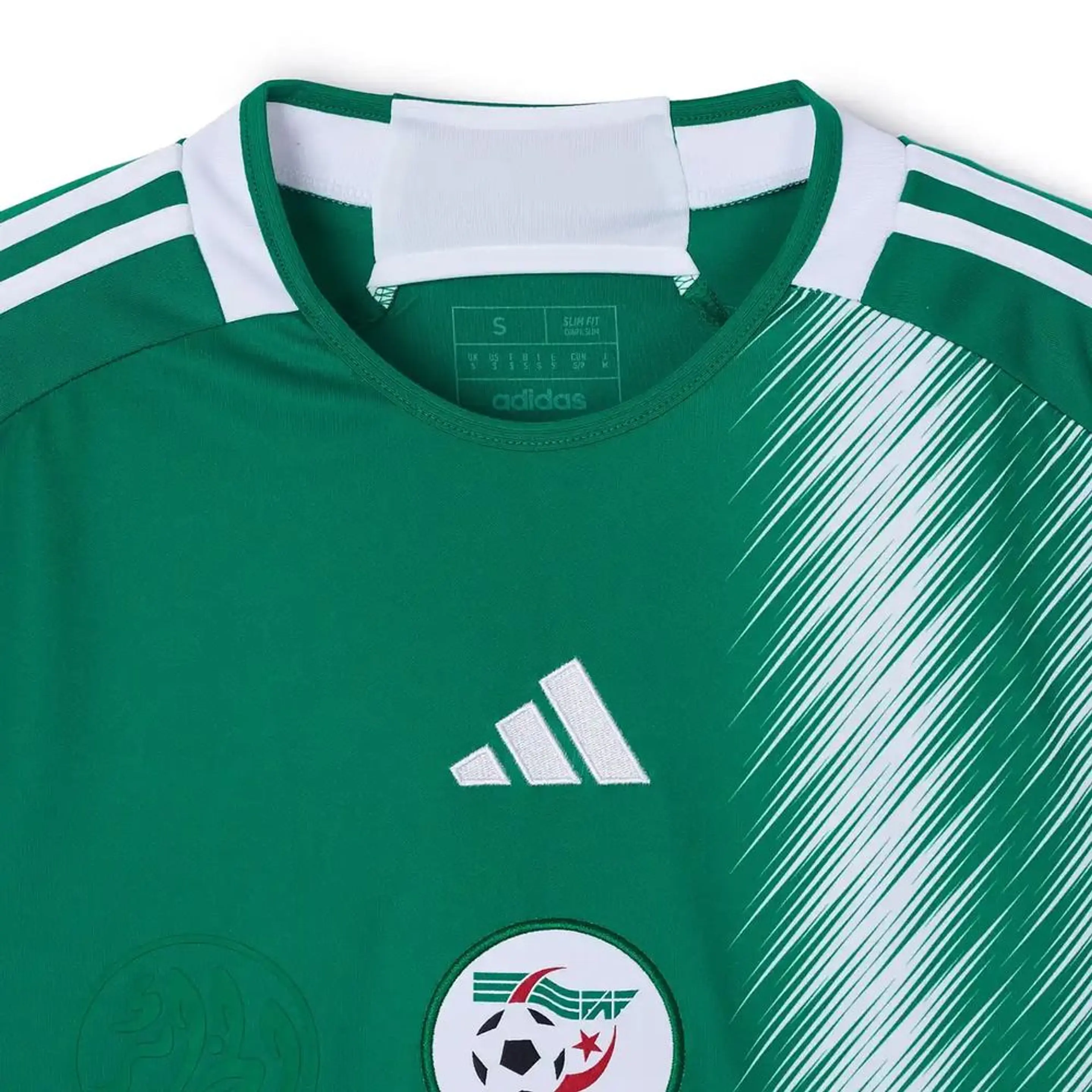 Algeria alternativa 2026 3