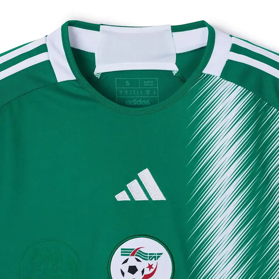 Algeria alternativa 2026 3