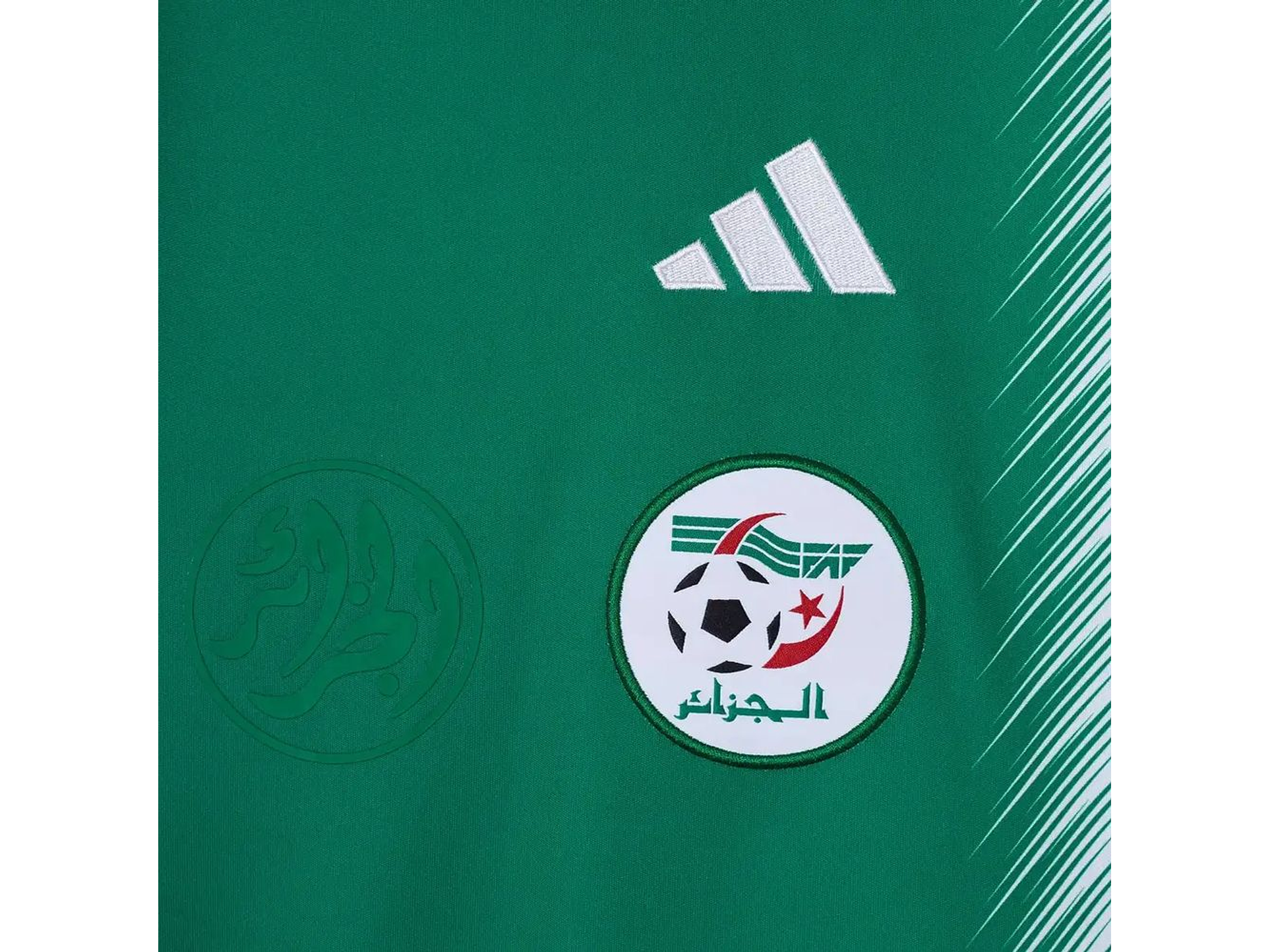 Alternative Algeria 2026 4