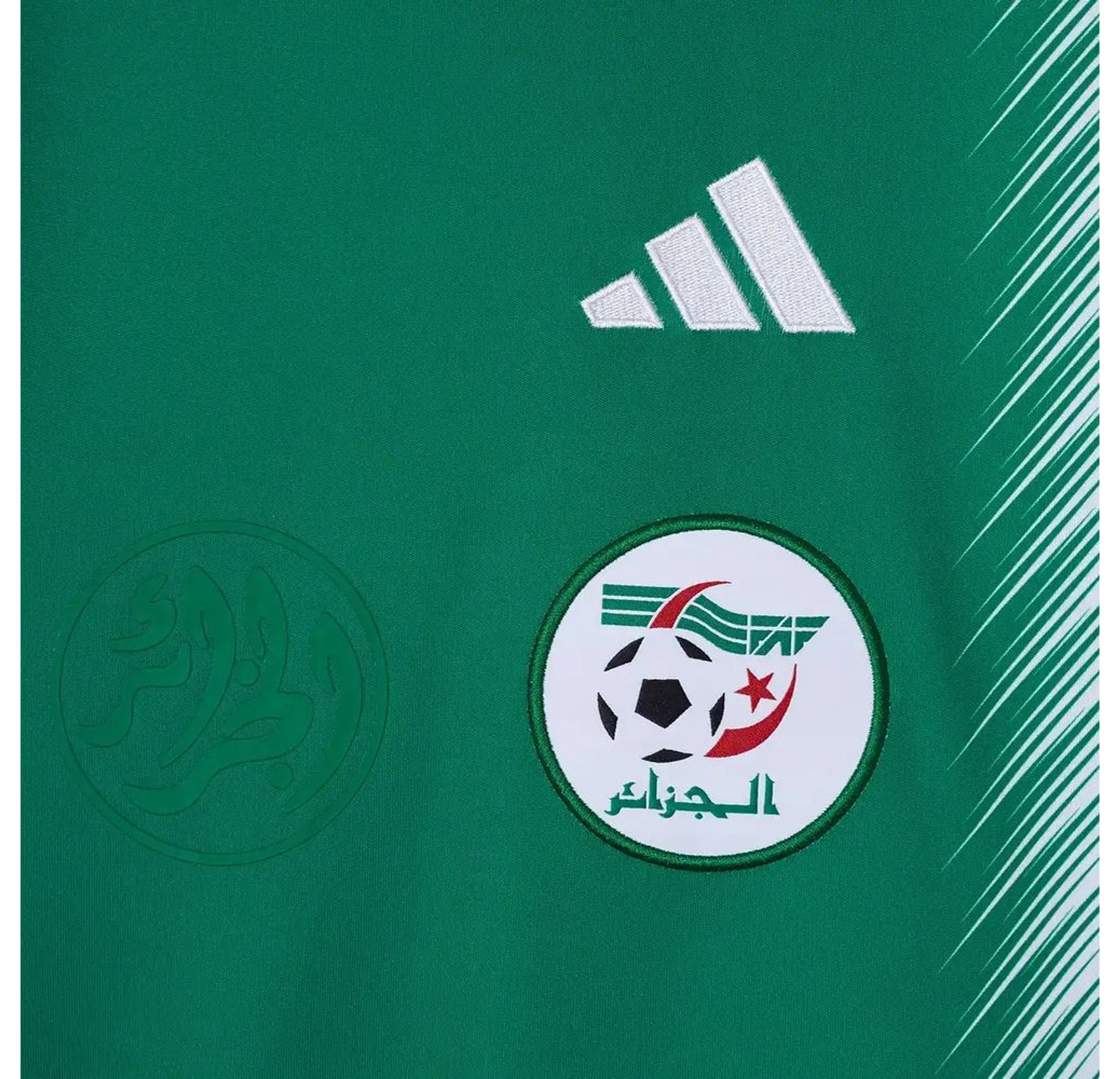 Alternative Algeria 2026 4