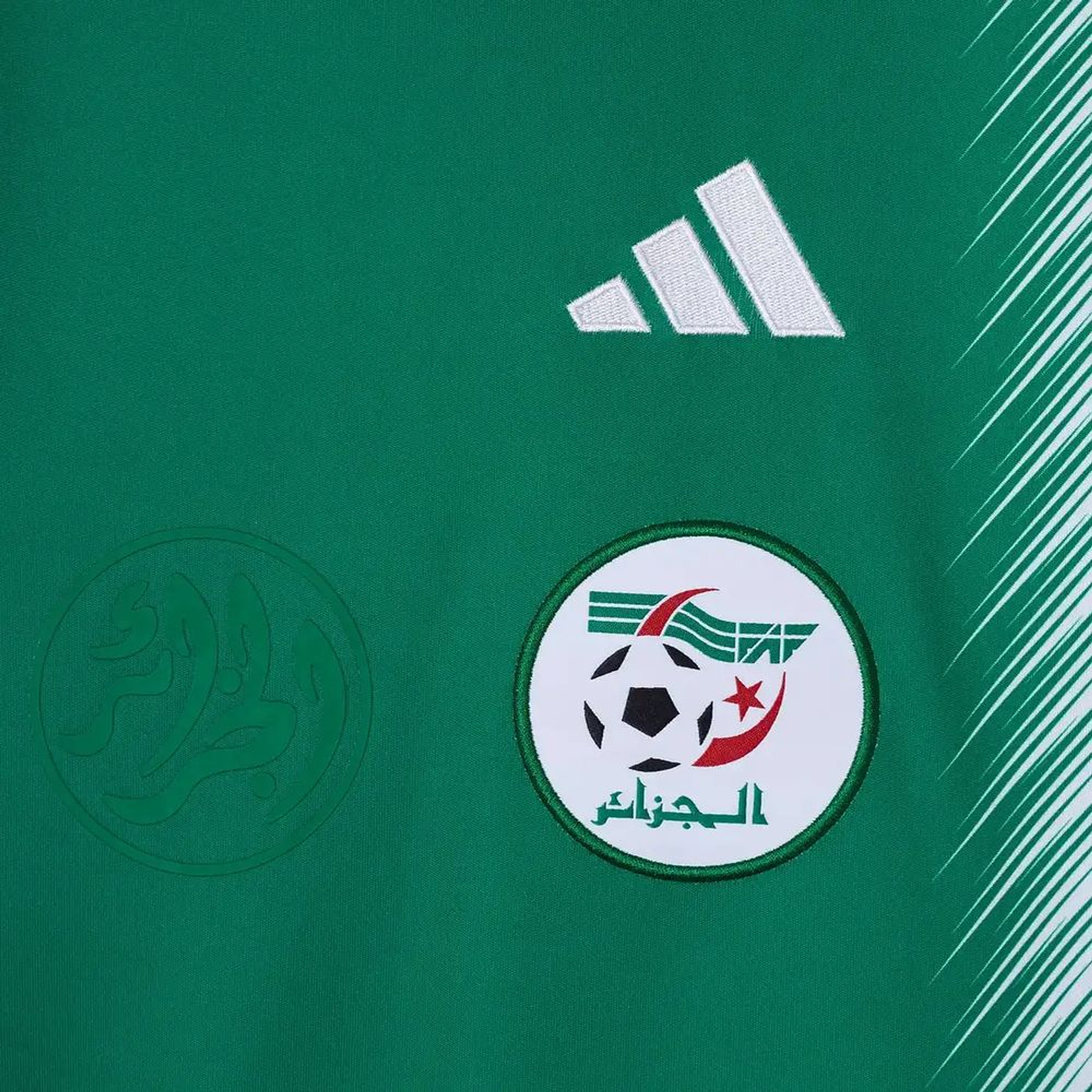 Algeria alternativa 2026 4