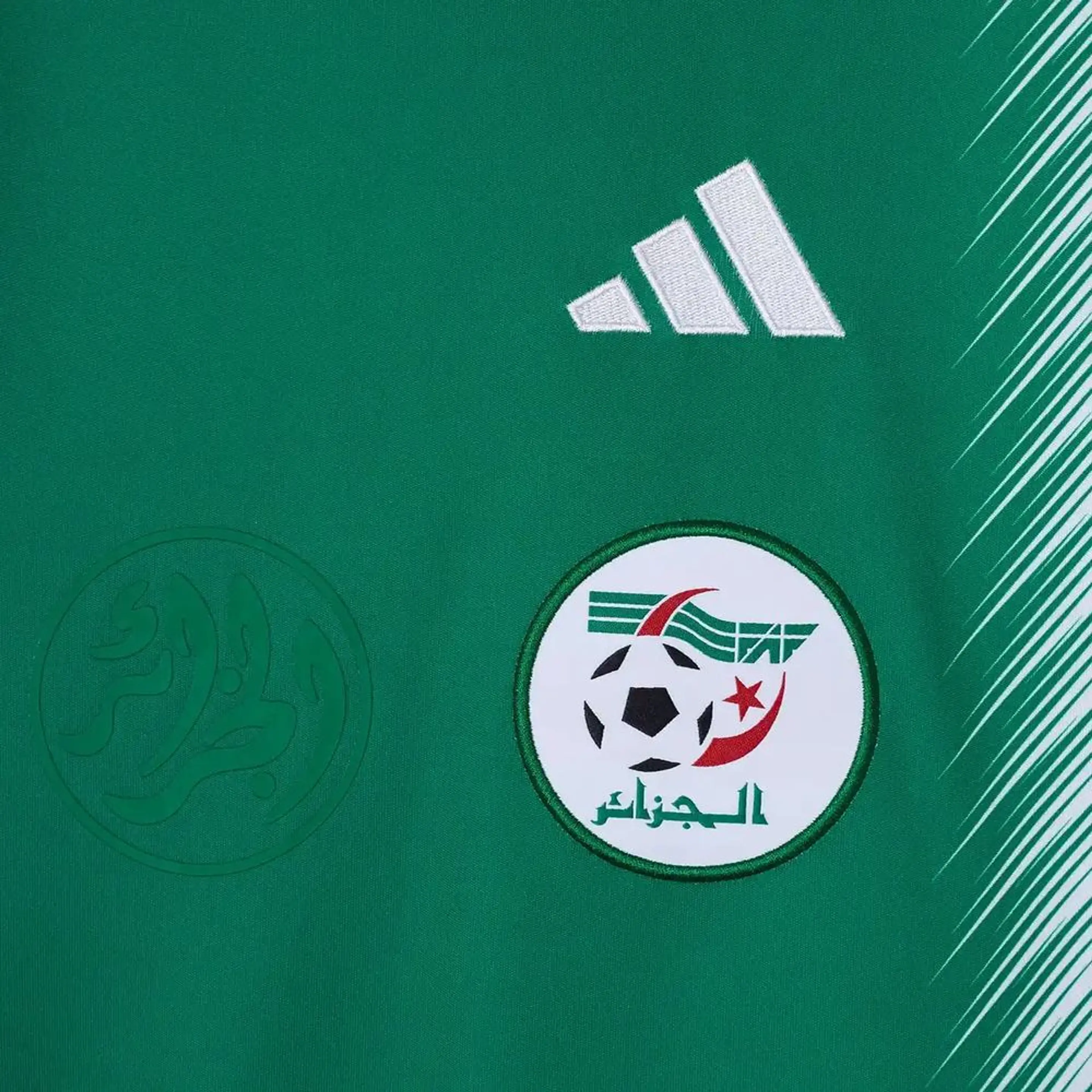 Algeria alternativa 2026 4