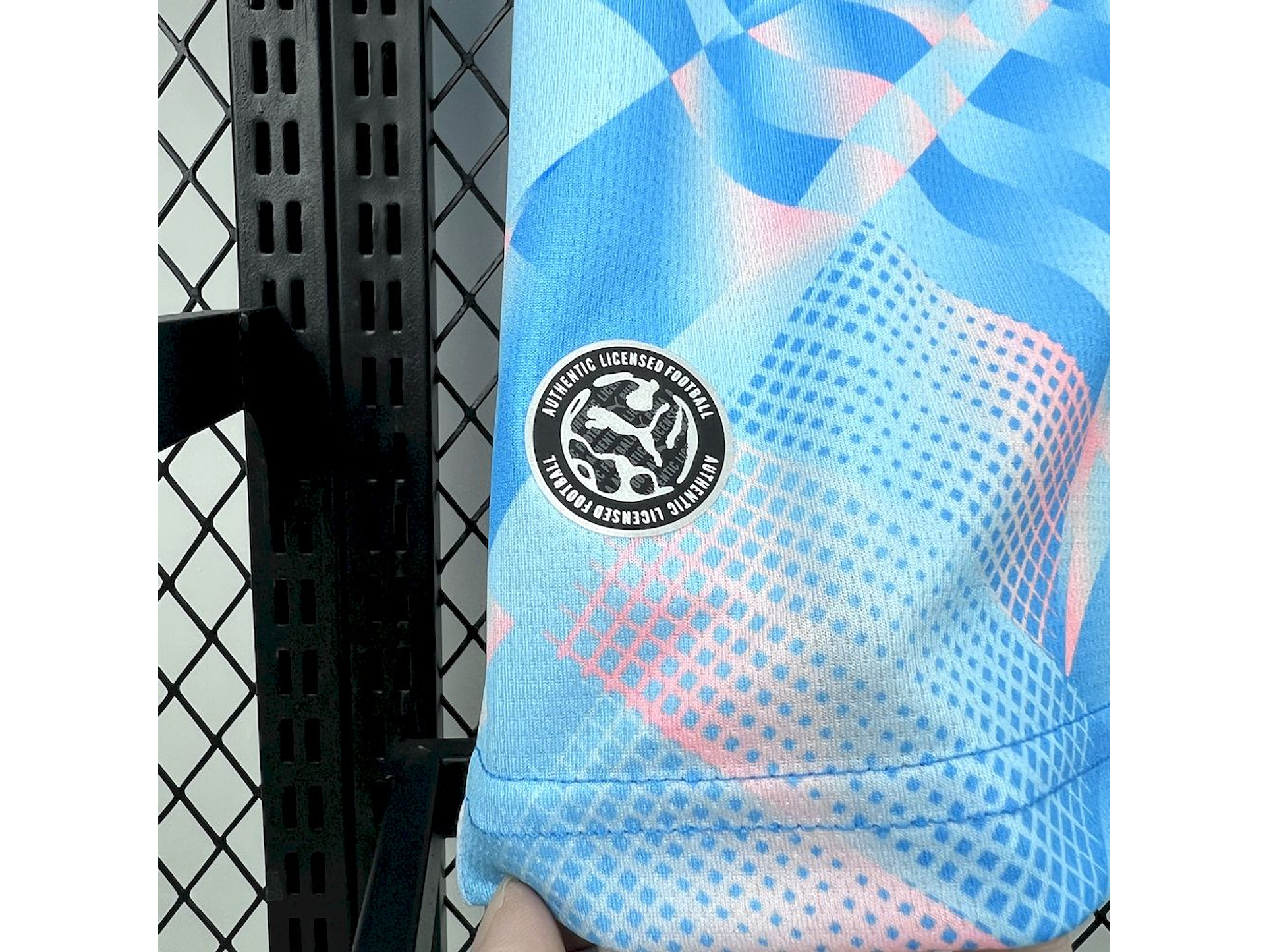 Alternative Switzerland 2026 5