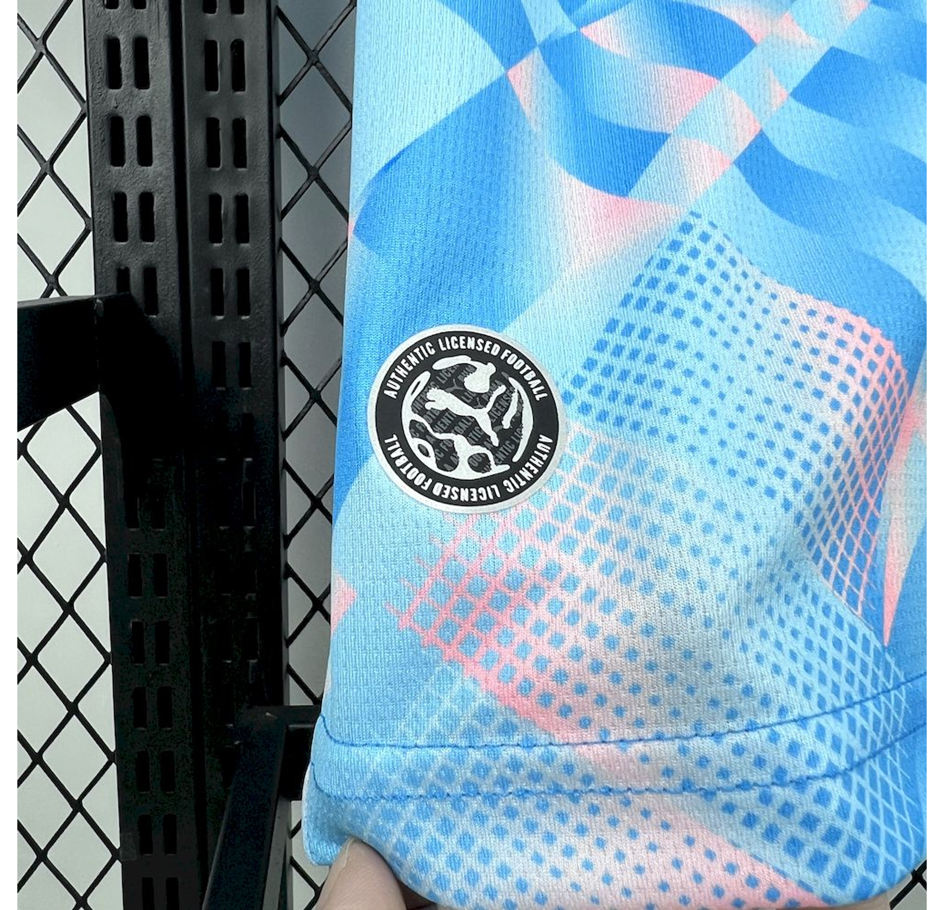 Alternative Switzerland 2026 5