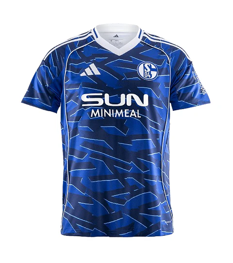 Schalke 04 2025-26