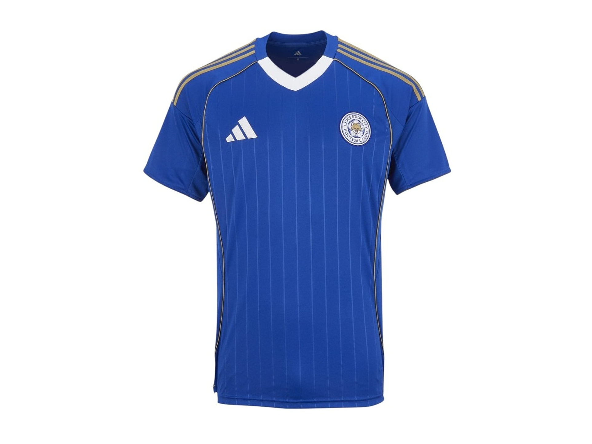 Leicester City 2025-26 1