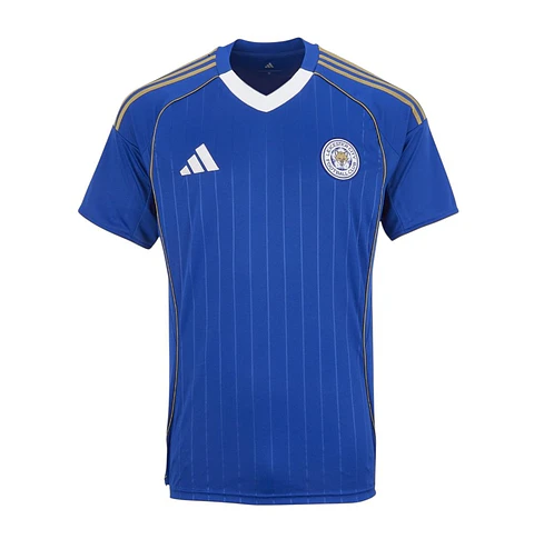 Leicester City 2025-26