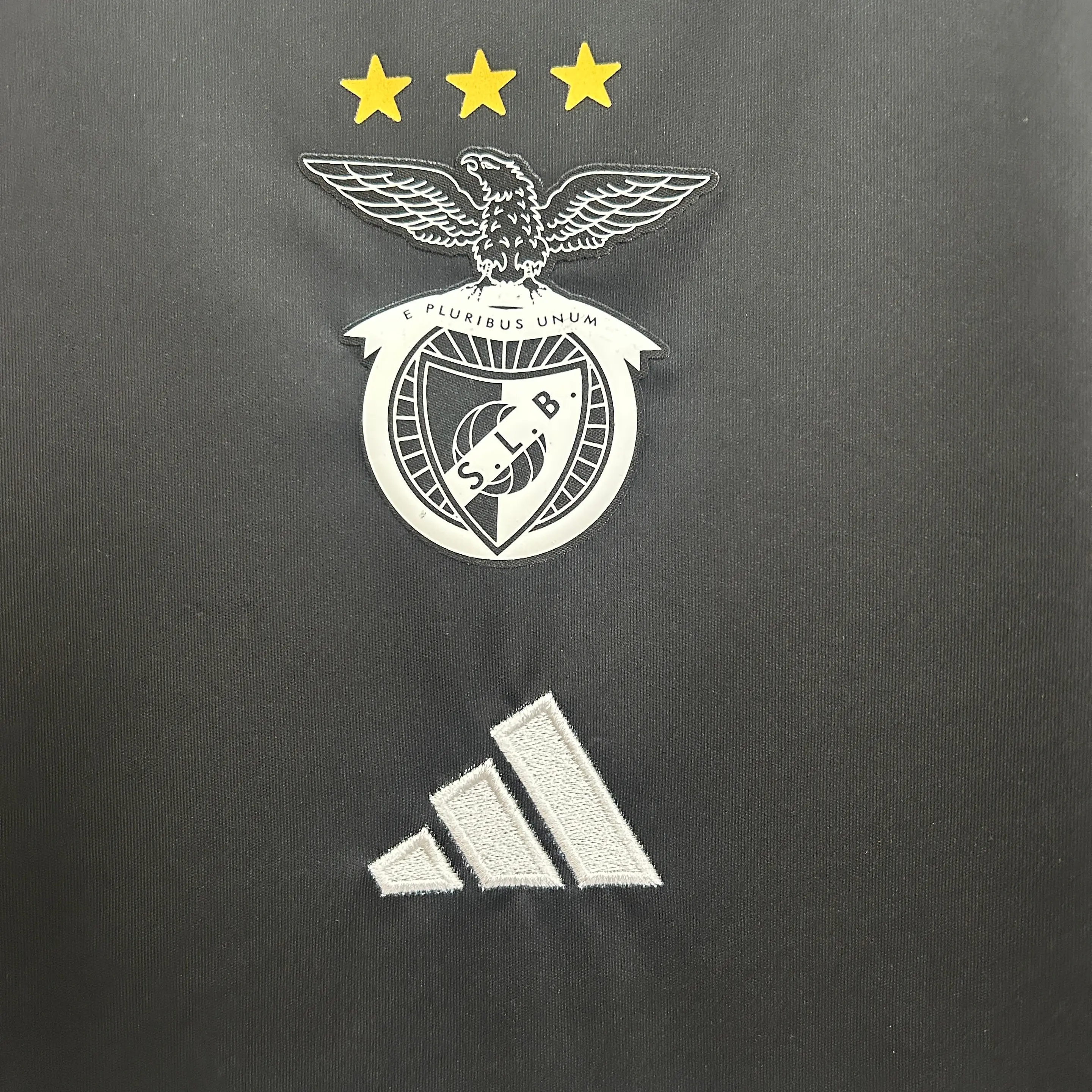Benfica alternativa 2025-26 2