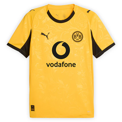 Copa Borussia Dortmund 2025-26