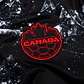 Canadá alternativa 2026 - Thumbnail 3