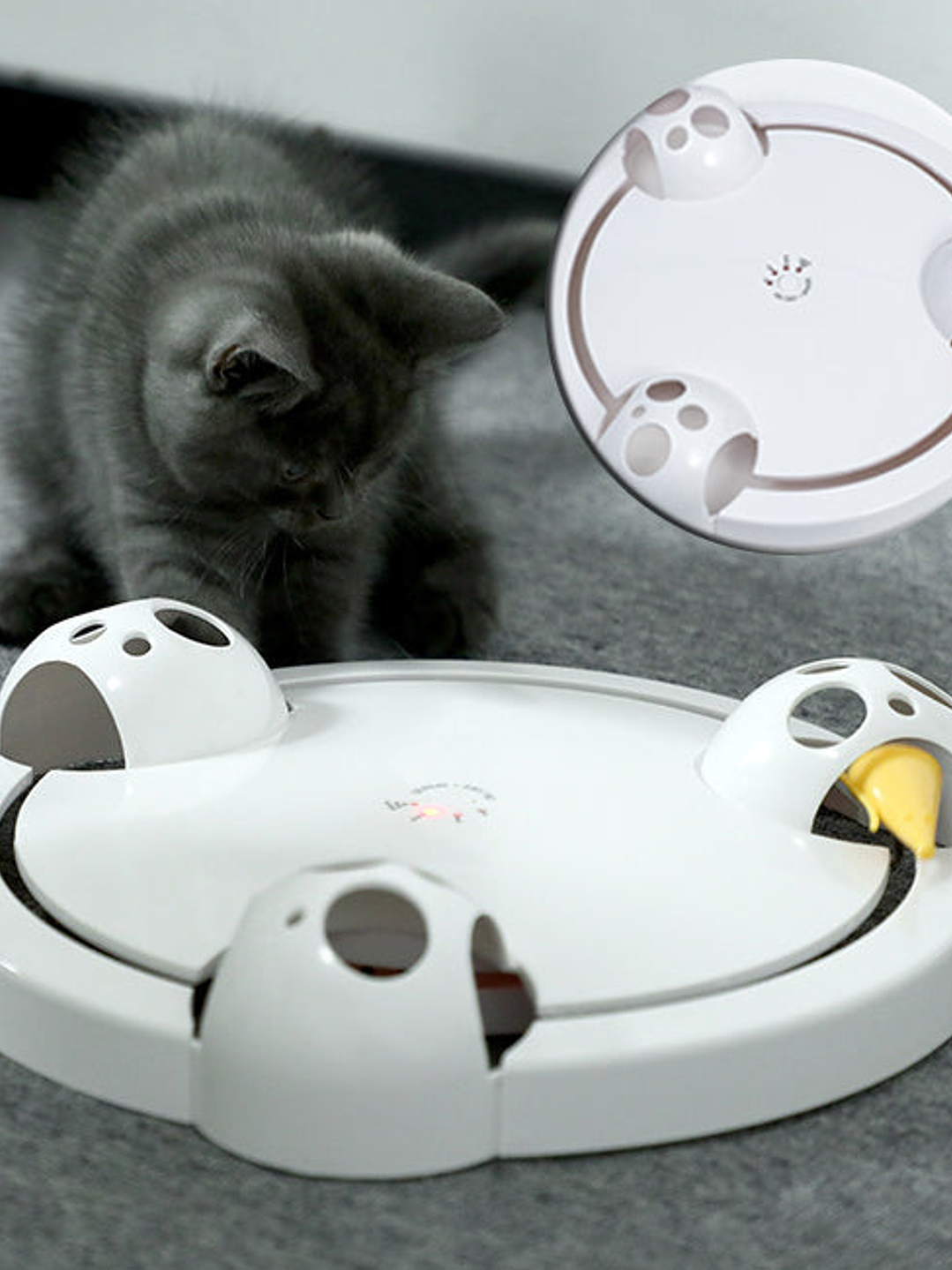 Rueda eléctrica de juguete para gatos 3