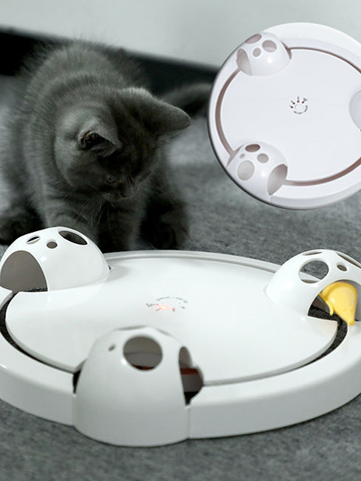 Rueda eléctrica de juguete para gatos 3