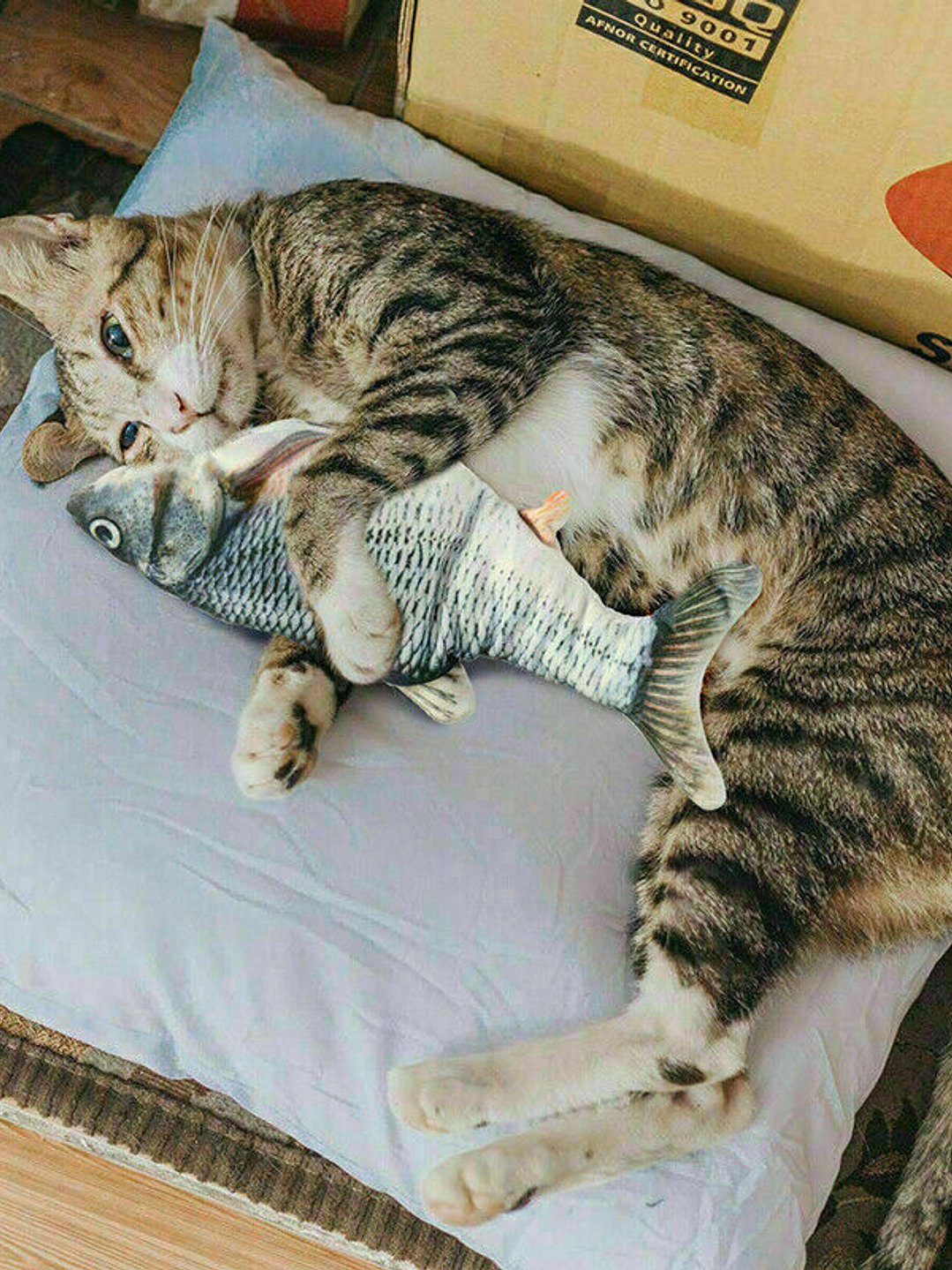 Juguete eléctrico interactivo para gatos con forma de pez 5