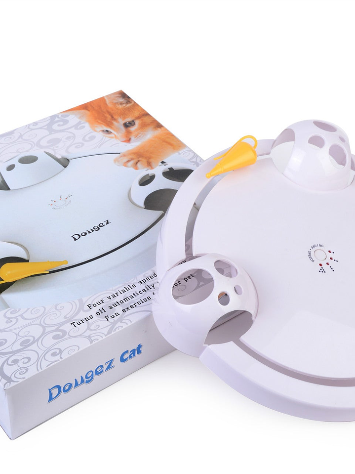 Rueda eléctrica de juguete para gatos 5