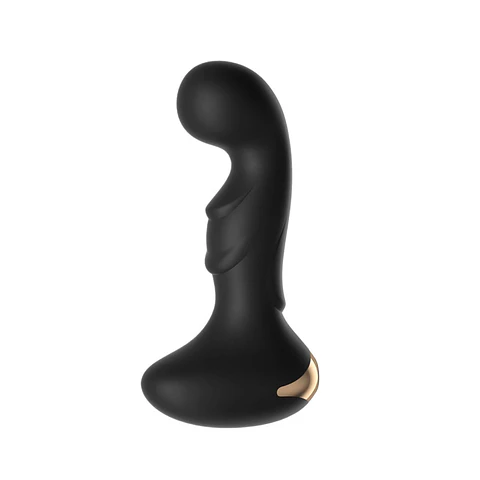 PLUG ANAL APP 