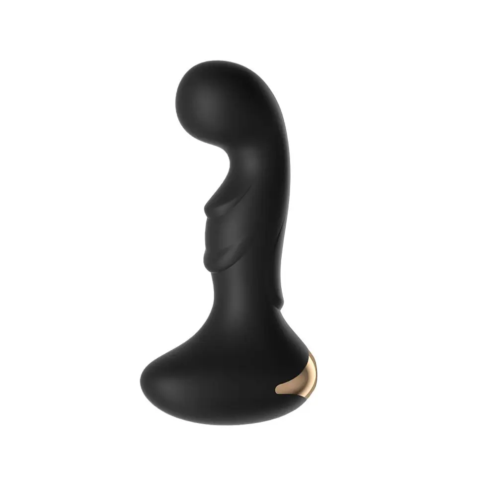 PLUG ANAL APP  1