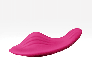 Vibrador Para Panty Tinker Con App Camtoyz