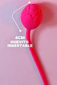 ARNESS APP  - Miniatura 5
