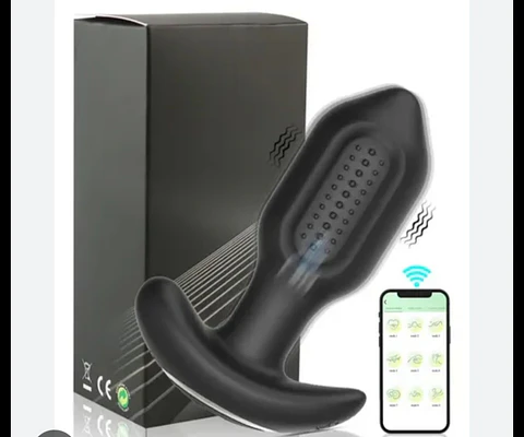 PLUG ANAL APP 
