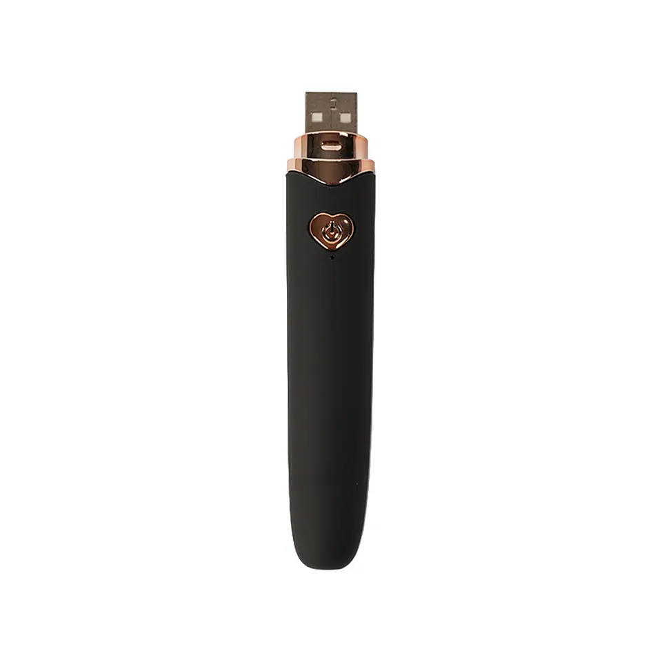 VIBRADOR LOLLY- BRUSHY  3