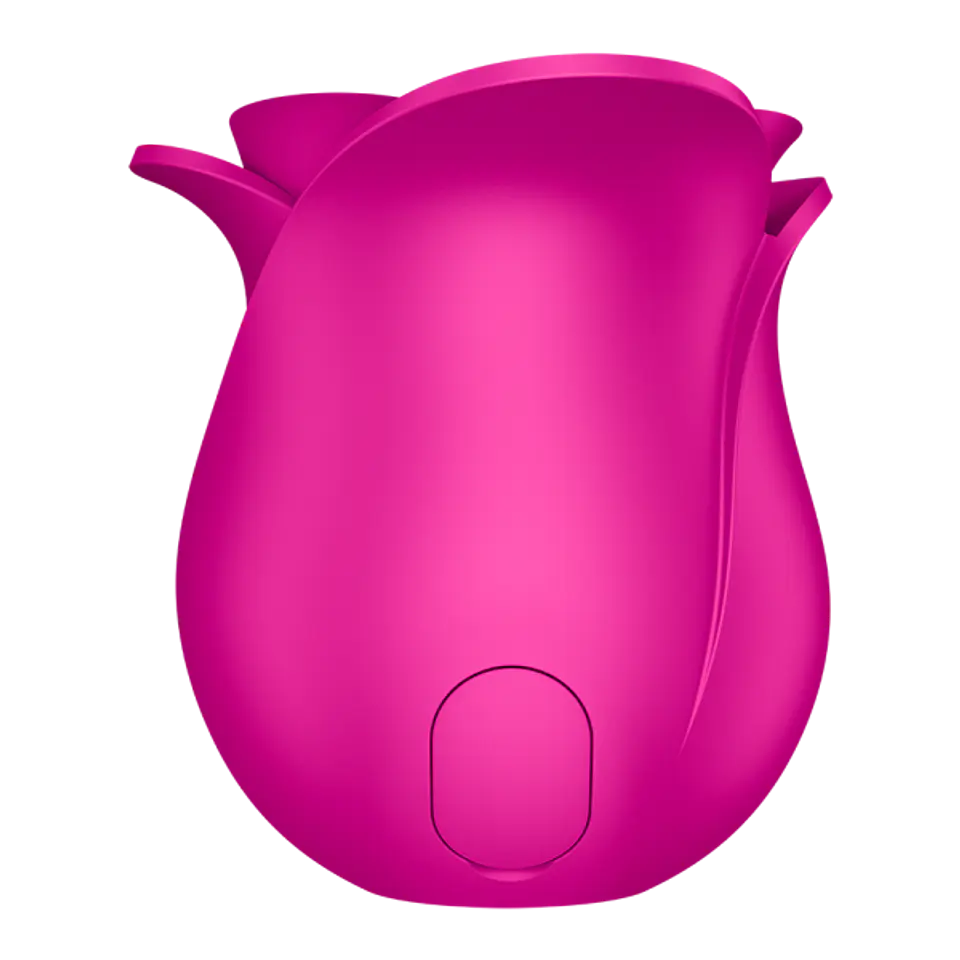 SATISFYER - PRO 2 MODERN BLOSSOM (DISPONIBLE) 3