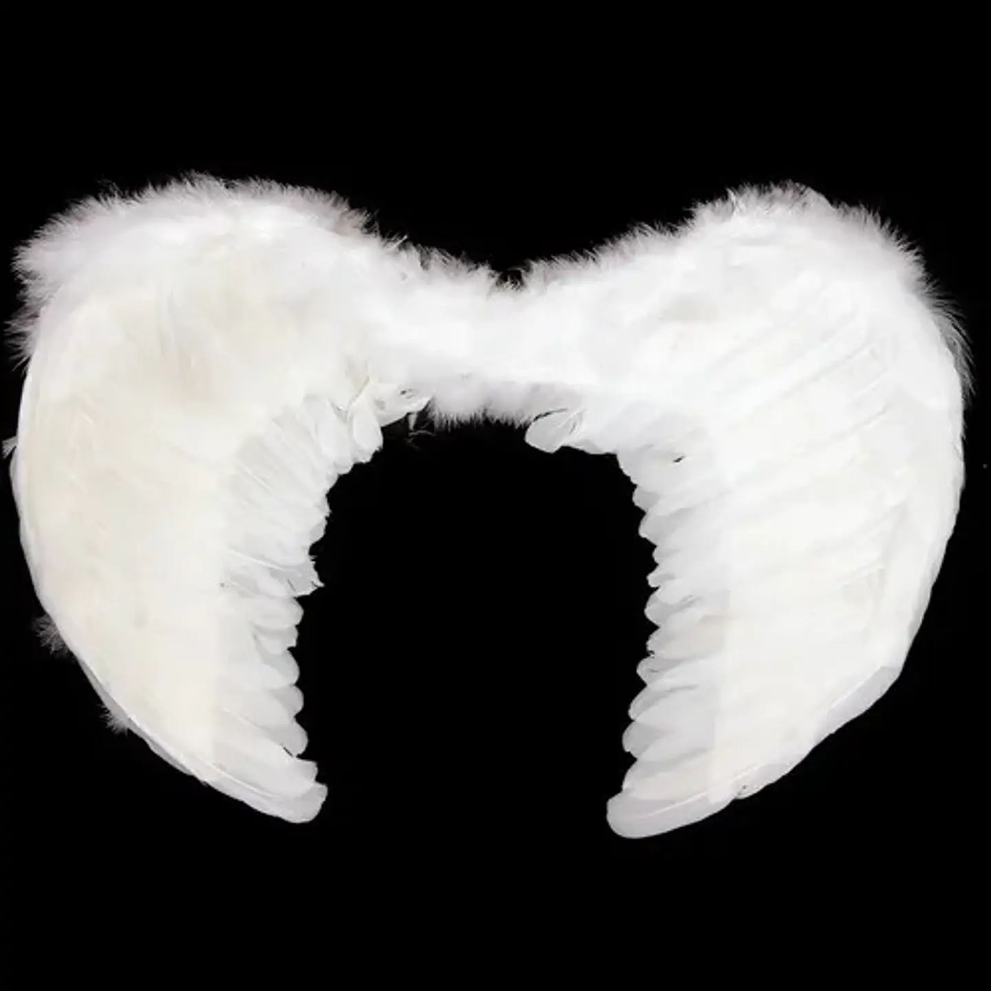 ALAS - BLANCO CON PLUMAS 1