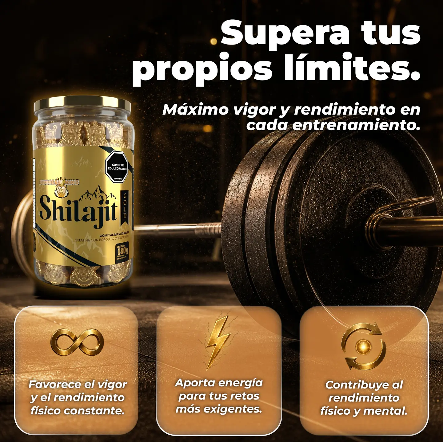 GOMAS SHILAJIT DORADA 2