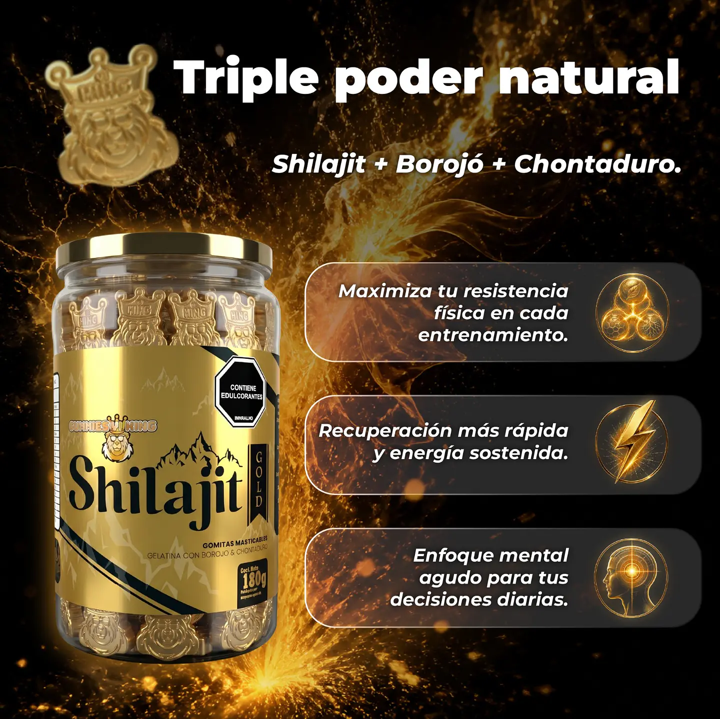 GOMAS SHILAJIT DORADA 4