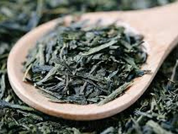 Té Verde: frescura, tradición y bienestar en cada taza