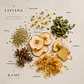 LIVIANA - Miniatura 1