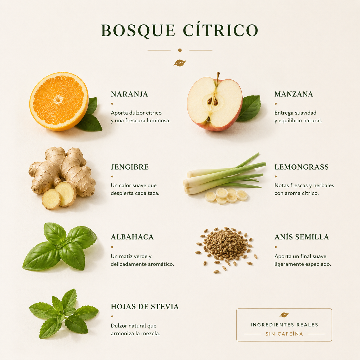 BOSQUE CÍTRICO