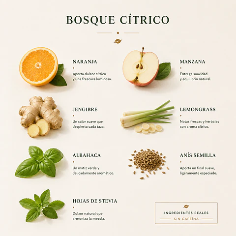 BOSQUE CÍTRICO
