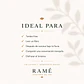 ARRAYAN CHAI - Miniatura 3