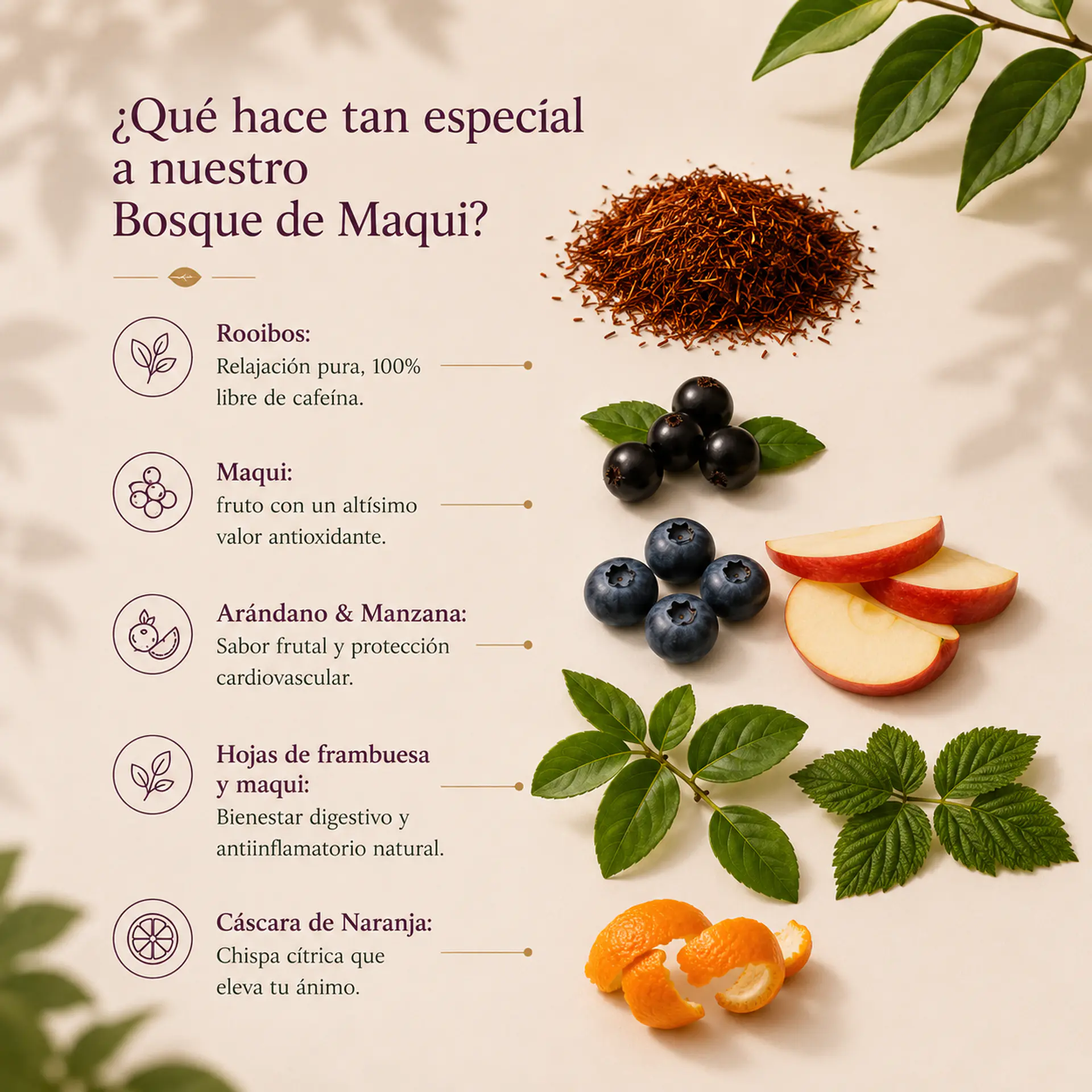 BOSQUE DE MAQUIS 1