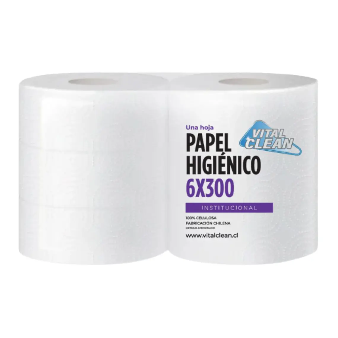 PAPEL HIGIÉNICO INSTITUCIONAL 6X300 1