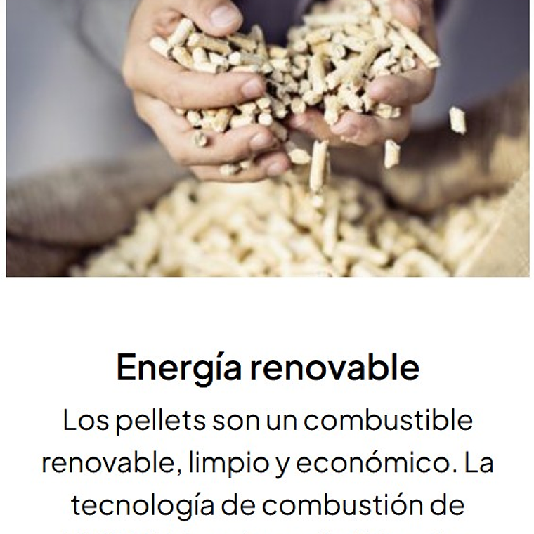 Caldera Pellet Easypell 20 kW   3