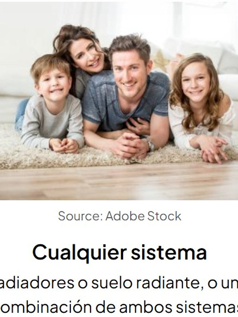 Caldera Pellet Easypell 20 kW   7