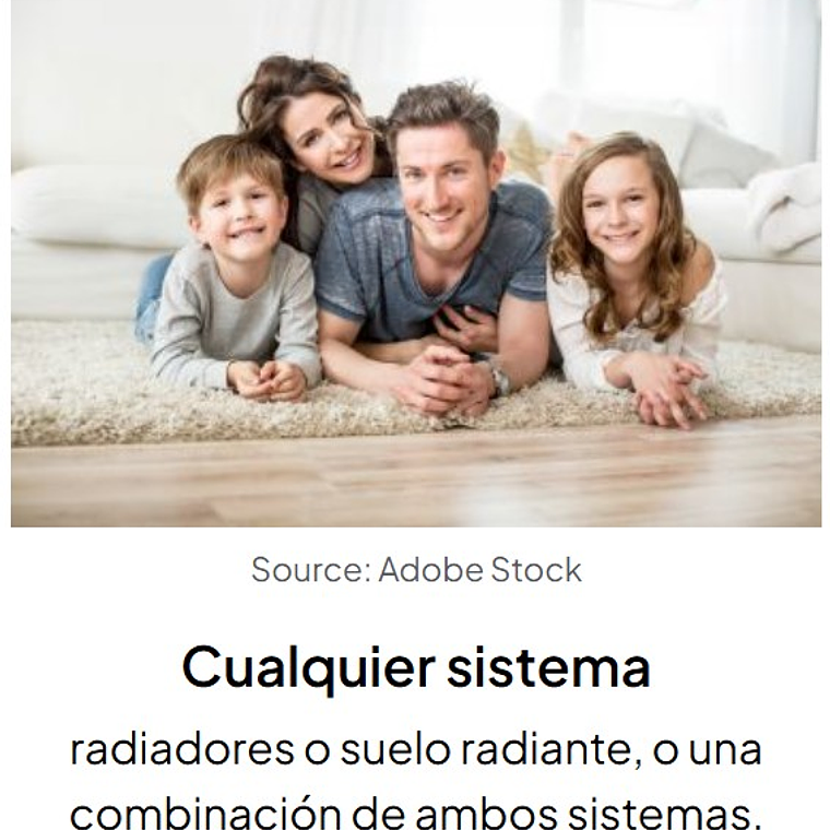 Caldera Pellet Easypell 20 kW   7