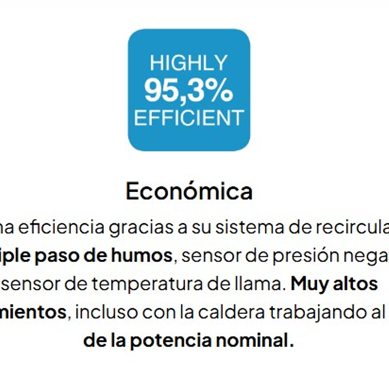 Caldera Pellet Easypell 20 kW   9