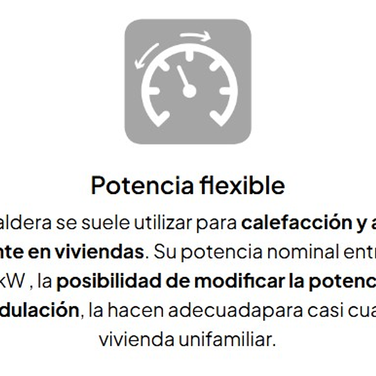 Caldera Pellet Easypell 20 kW   10