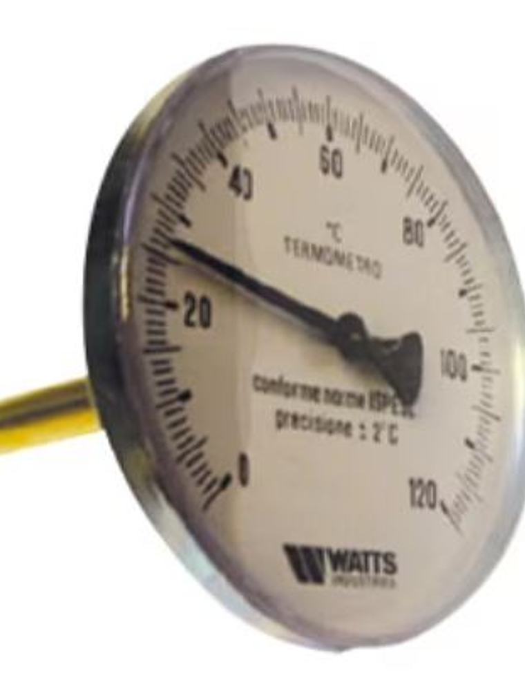 Termómetro Inmersión T.100-50 1/2