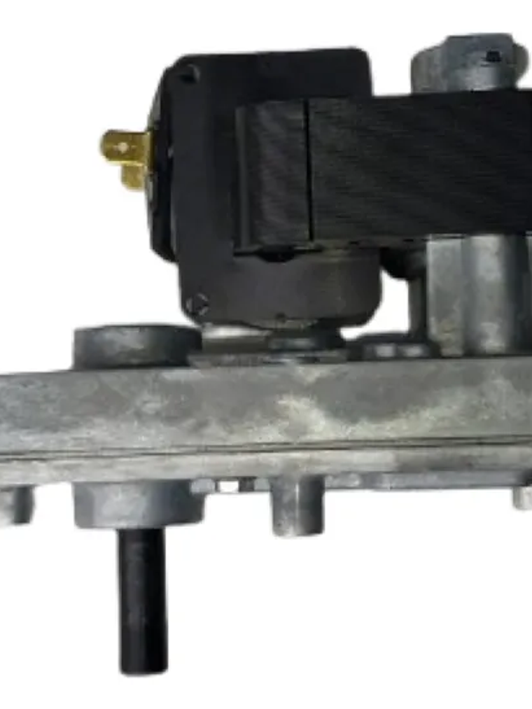 Motorreductor alimentación de pellet 1