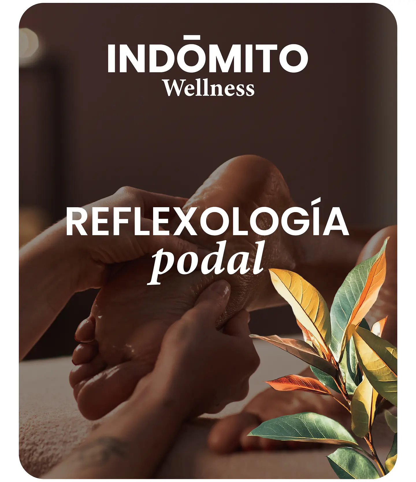 Reflexología podal 1