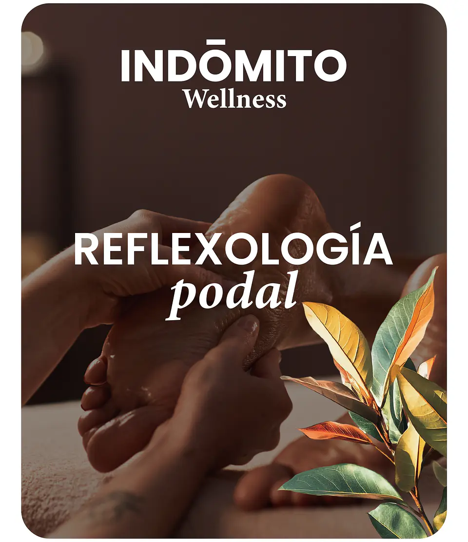 Reflexología podal 1