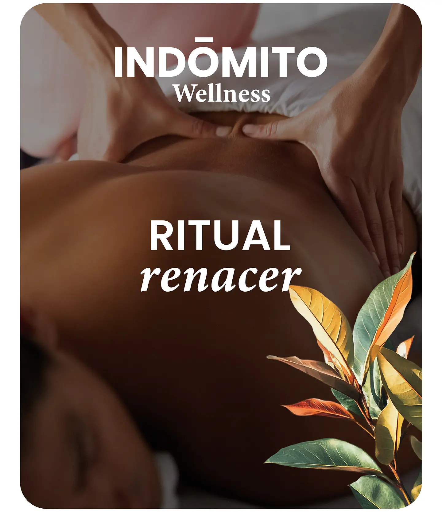 Ritual Renacer 1